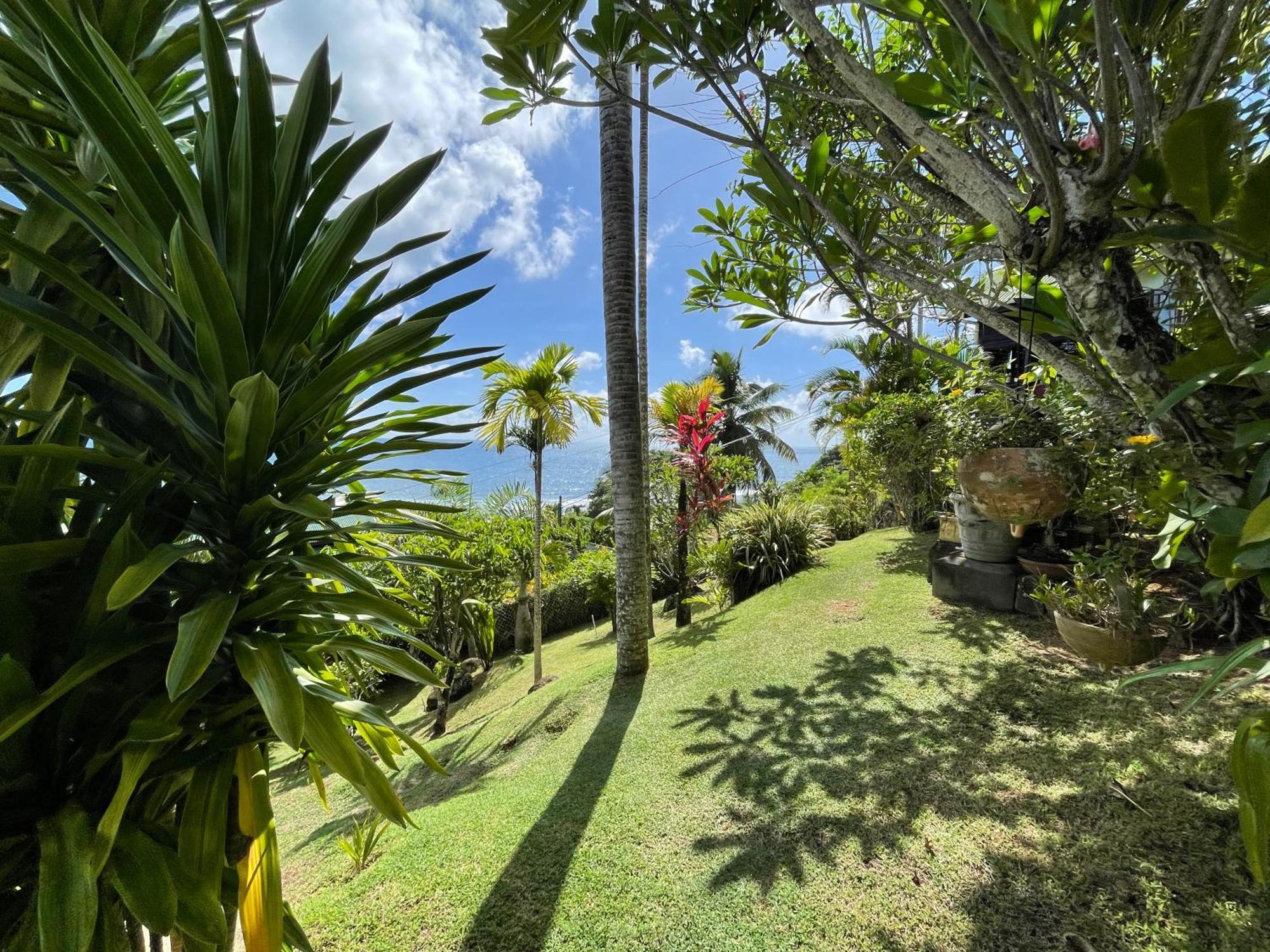 טקמק Chalets Bougainville מראה חיצוני תמונה
