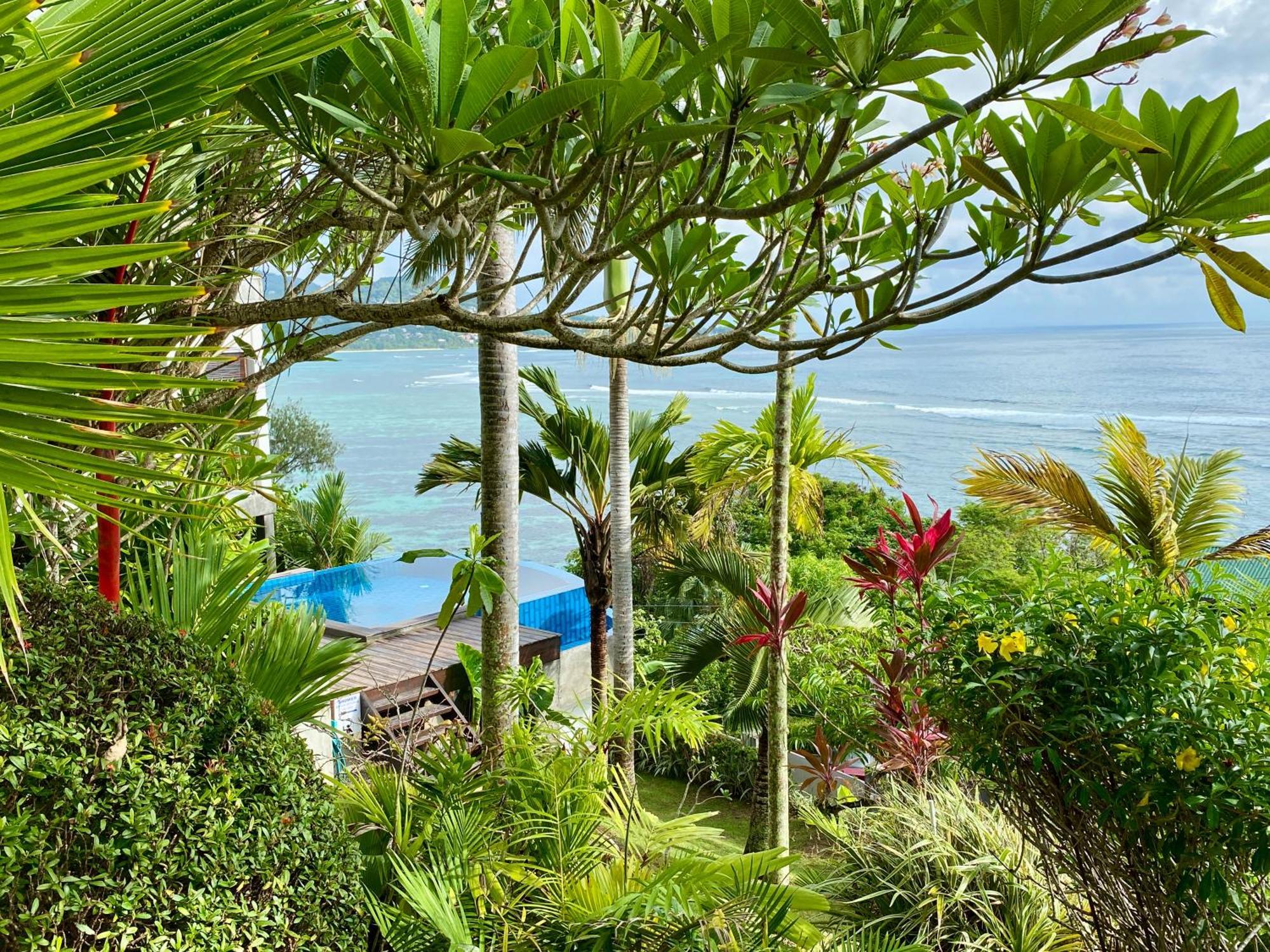 טקמק Chalets Bougainville מראה חיצוני תמונה